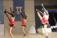 Ordensempfang_2025_52